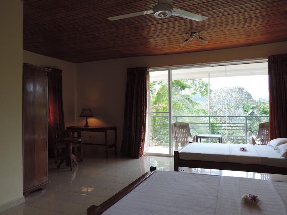 Rainforest Lodge 26/50