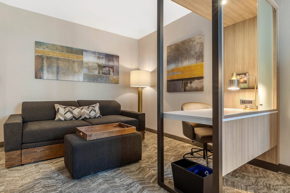Springhill Suites By Marriott Charlotte Southwest 31/49
