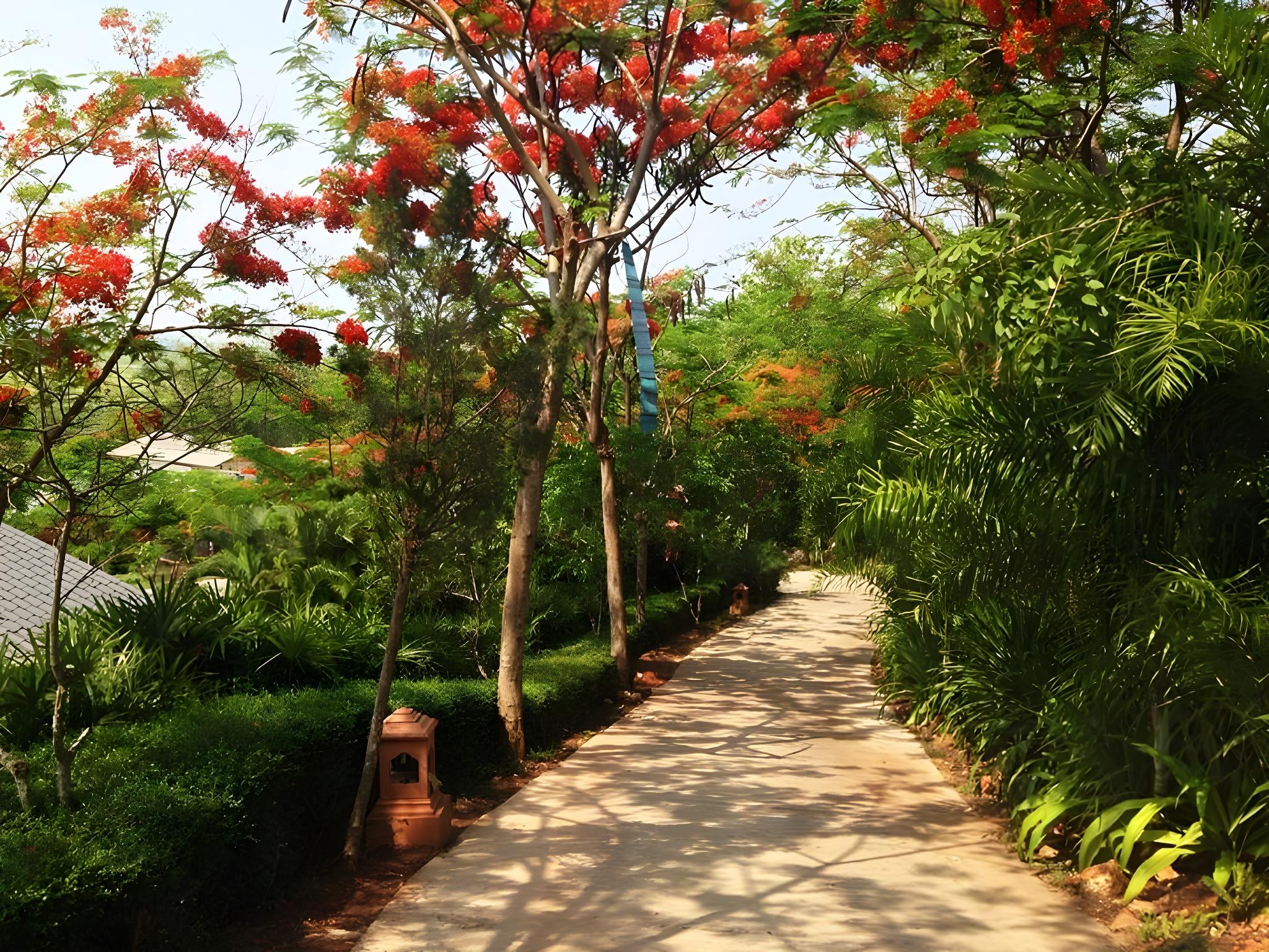 Thaton Hill Resort 19/32