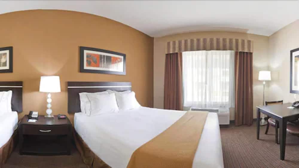 Holiday Inn Express Hotel & Suites Lamar 23/78