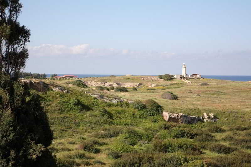 surroundings