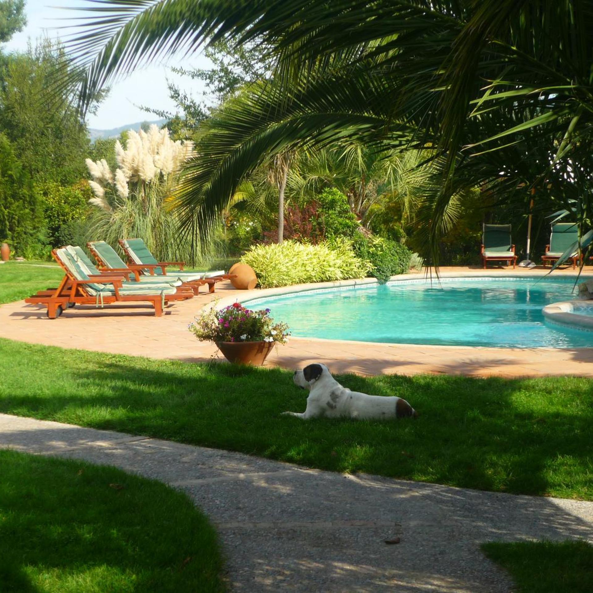 Hotel Boutique Solaz Bella Vista De Colchagua 34/50