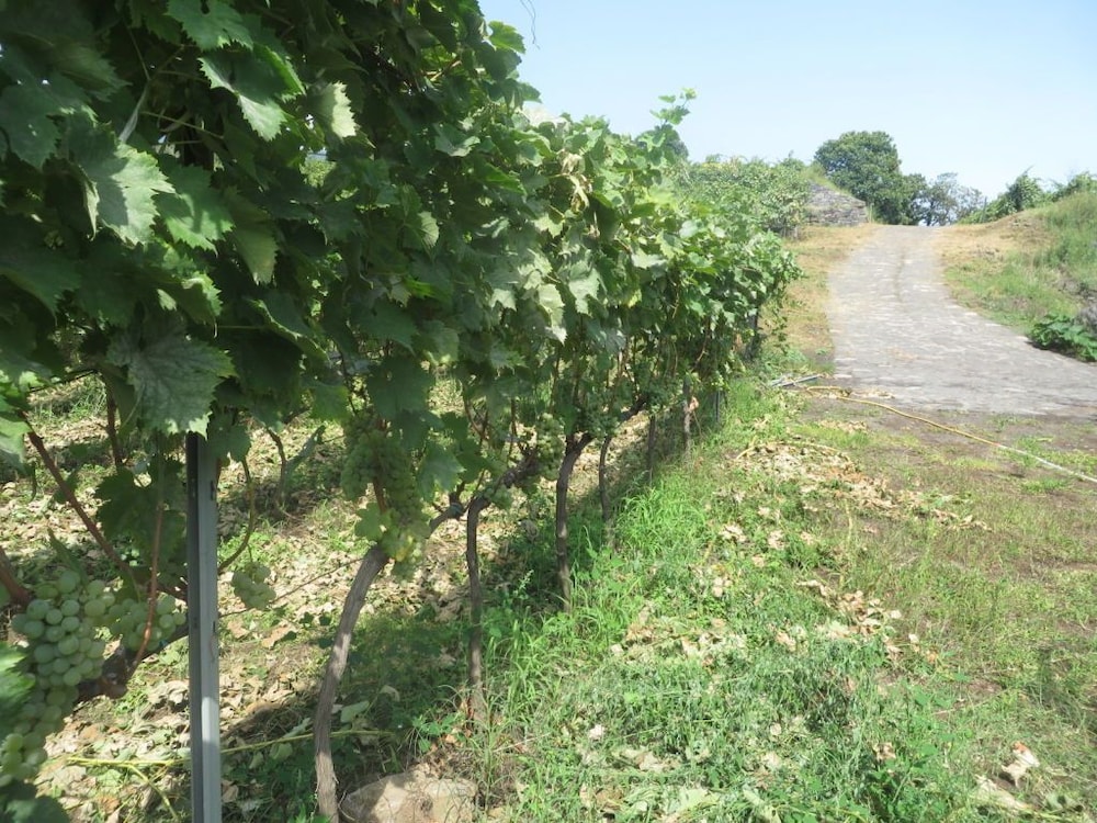 Agriturismo Le Case Del Merlo 52/59