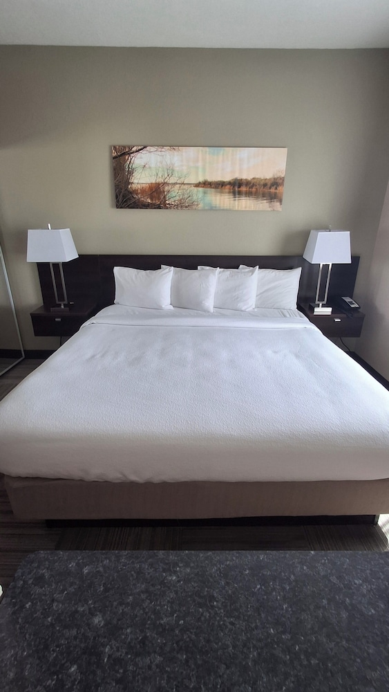 Island Suites 20/50