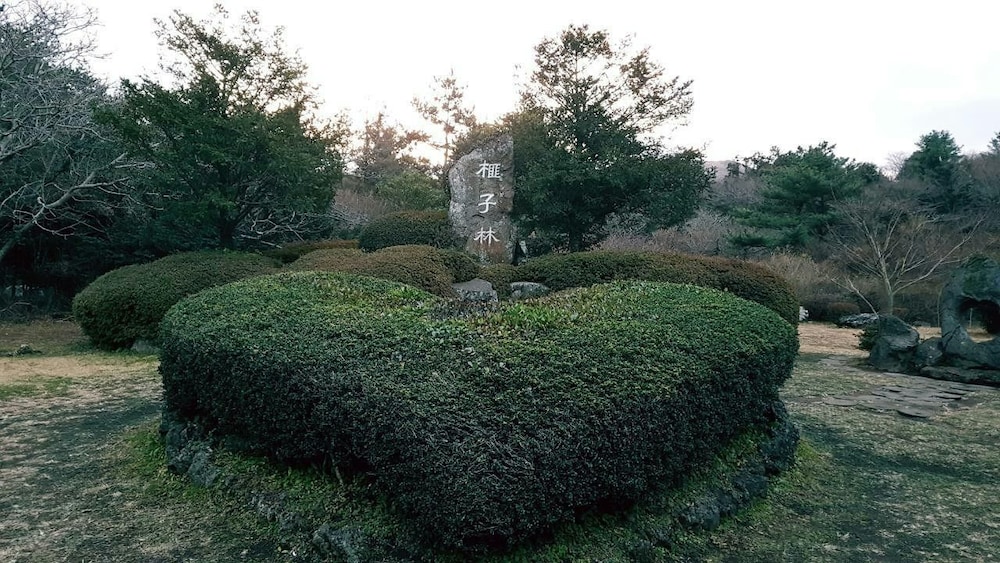 Jeju Igloo Pension 38/45