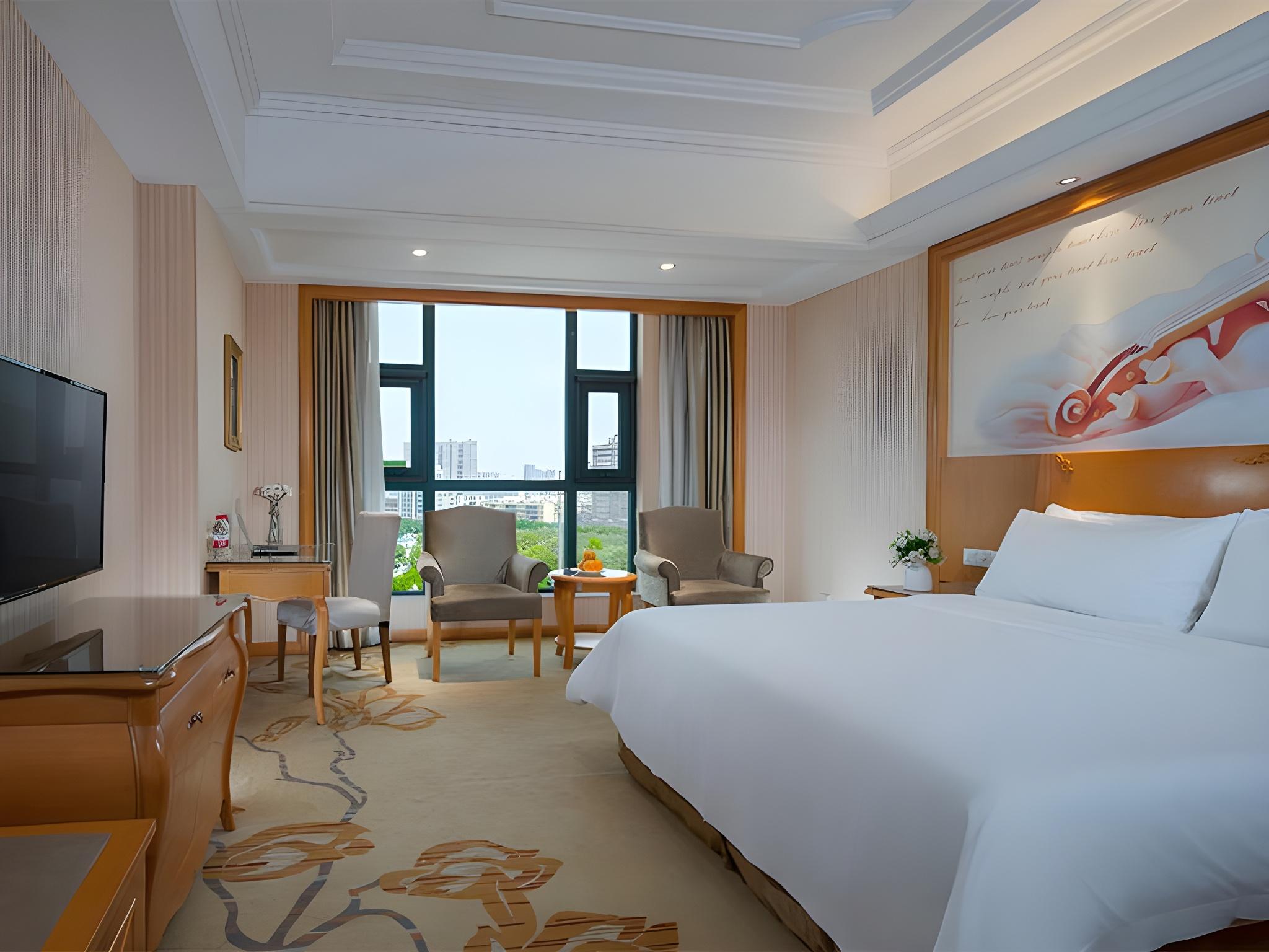 Vienna International Hotel (Xi'an Terra Cotta Warriors) 23/43