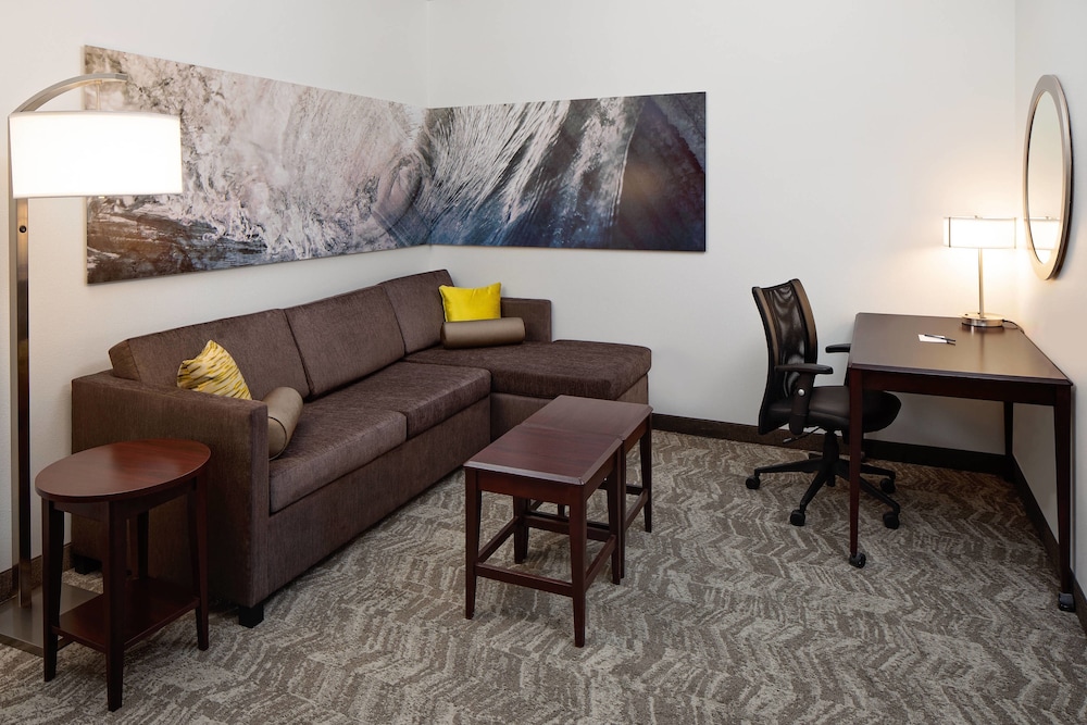 SpringHill Suites by Marriott Ardmore 22/39