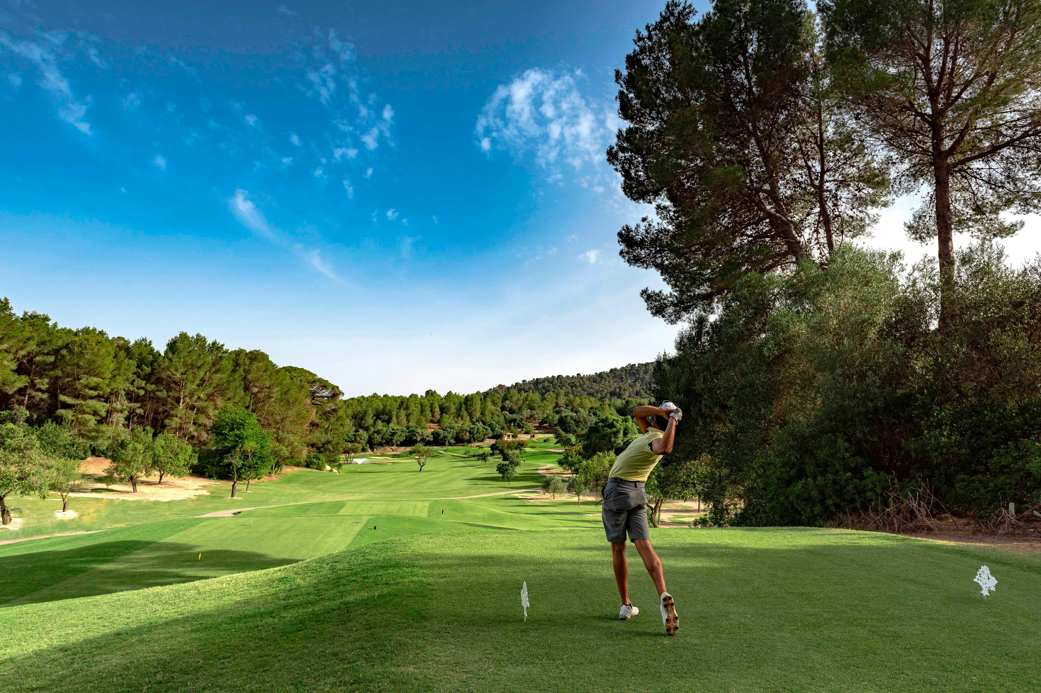 St Regis Mardavall Mallorca Resort 18/50