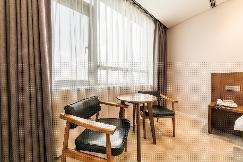 CS Premier Hotel Seoul 18/23