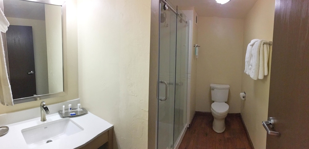 Best Western Plus South Coast Inn 21/72