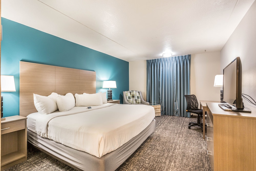 1 Bedroom, Suite, King Bed