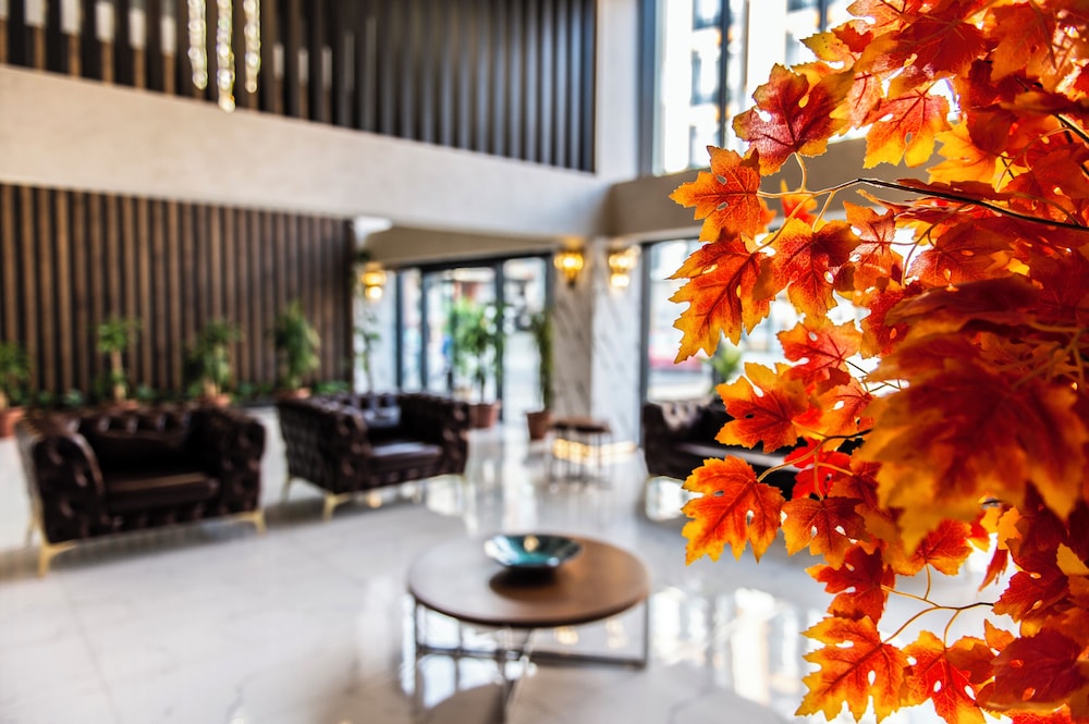 Blue Vista Hotel 23/35