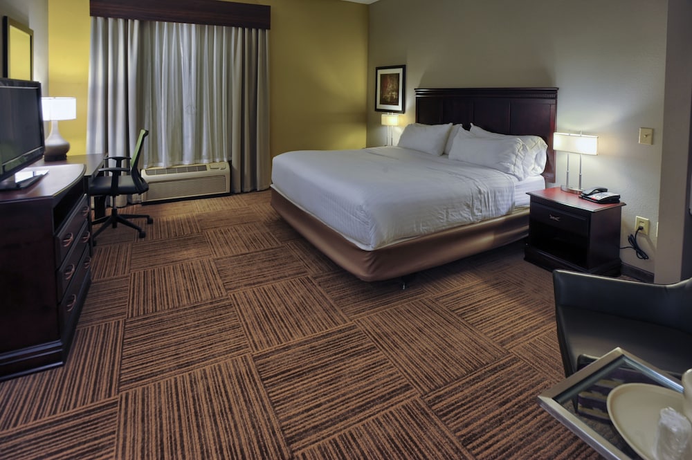 Holiday Inn Express Hotel Suites Pell City 14/71