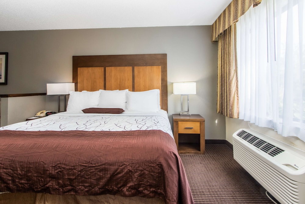 White Pines Inn & Suites of Holland 11/48