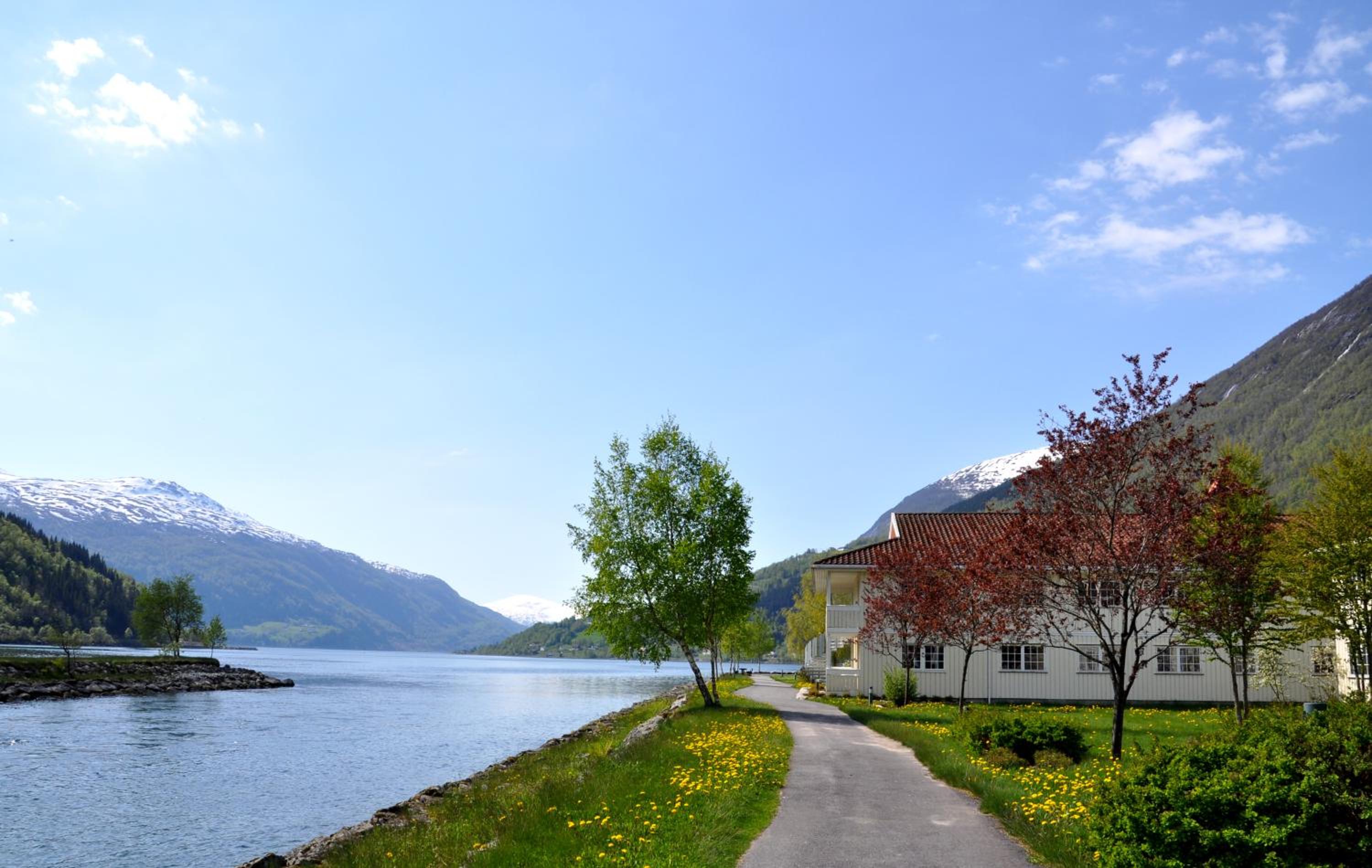 Loenfjord 43/50