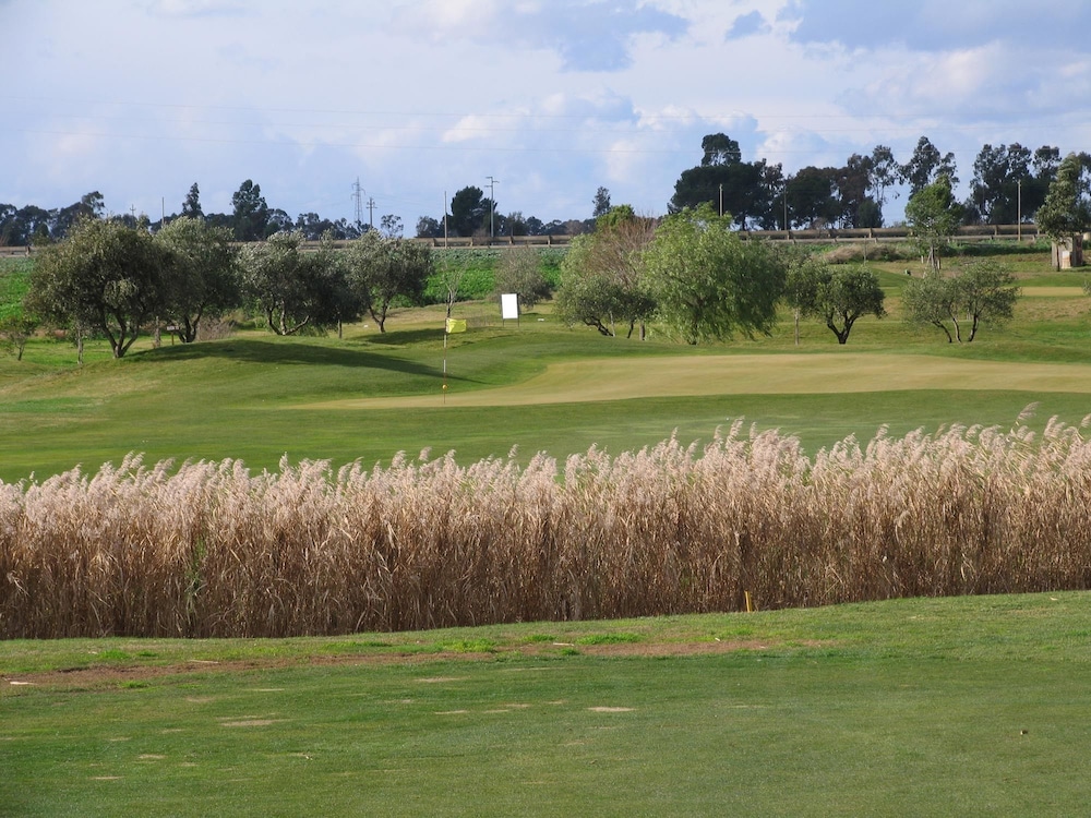 Metaponto Golf Club 23/31