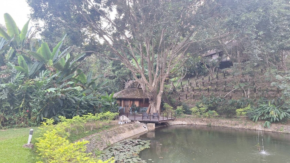 Vanilla Hill (Hill Lodge) 41/50