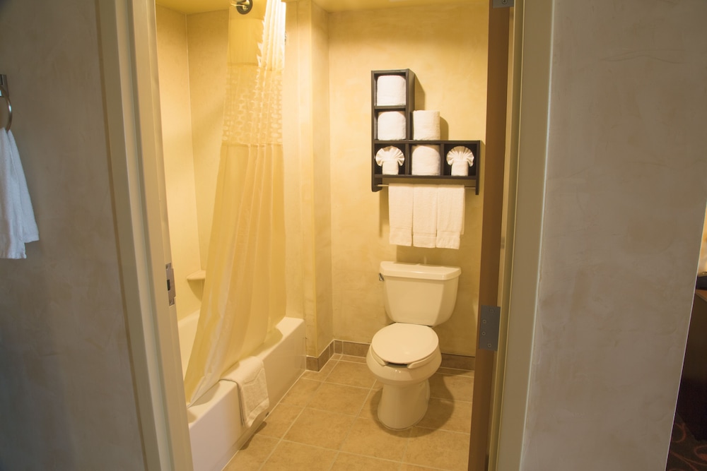 Hampton Inn and Suites Dallas Arlington North Entertainment District 19/45