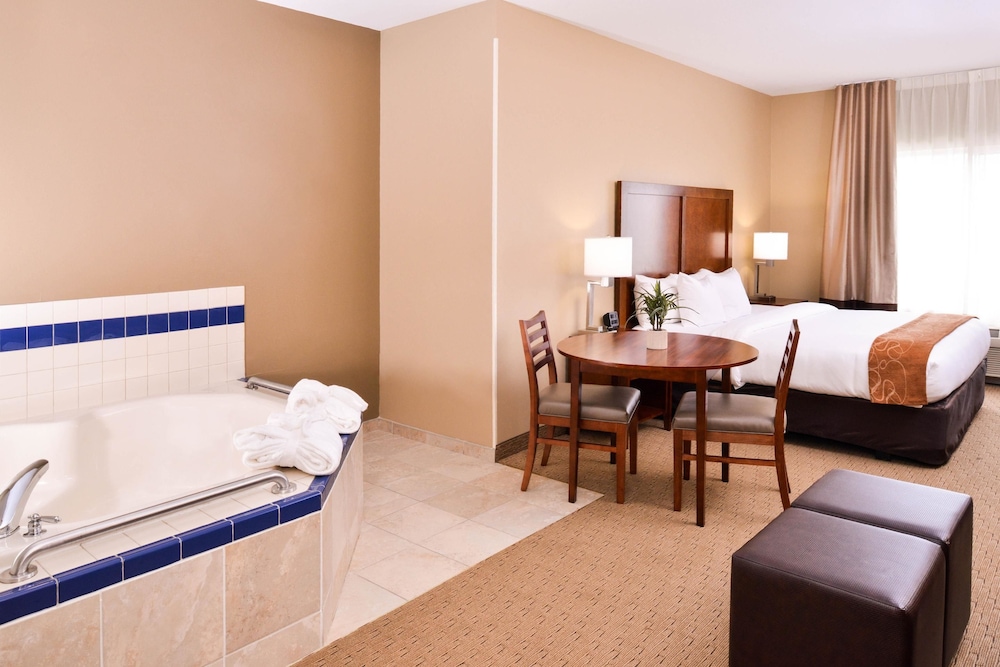 Comfort Suites Mount Vernon 9/36
