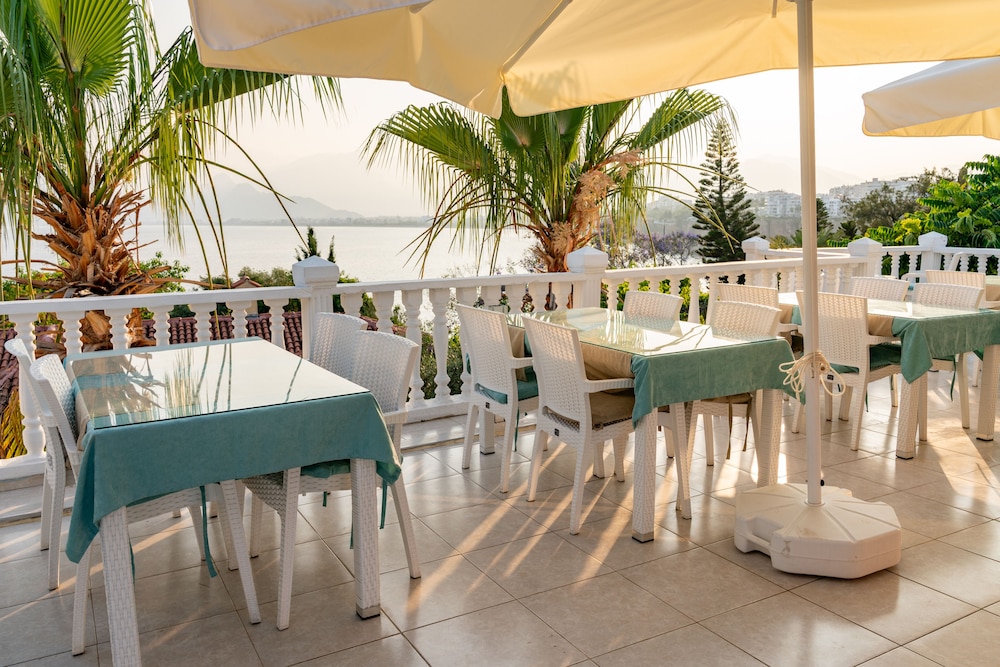 Bacchus Pension 32/49