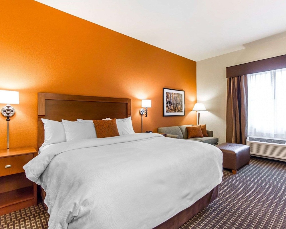 Efficiency, Suite, King Bed, Sofa, Accessible
