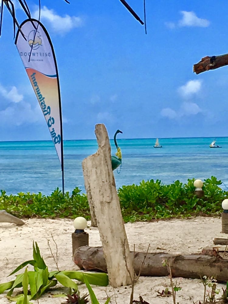 Driftwood Beach Lodge 44/48