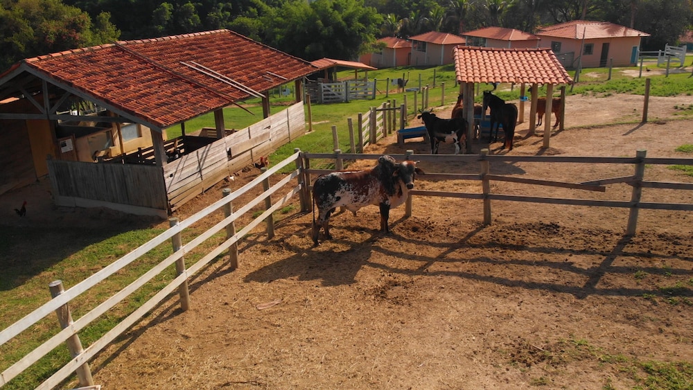 Hotel Fazenda Ararita 32/47