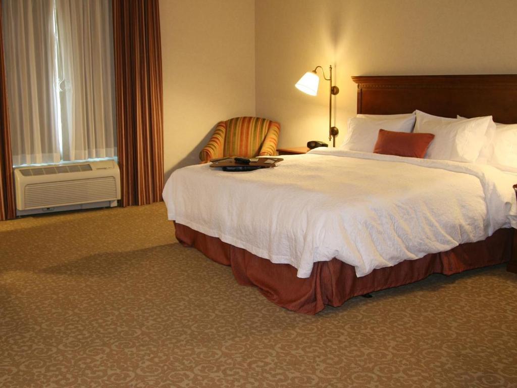 Suite, King Bed, Sofa, Accessible