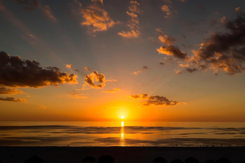 JW Marriott Marco Island Beach Resort 44/50