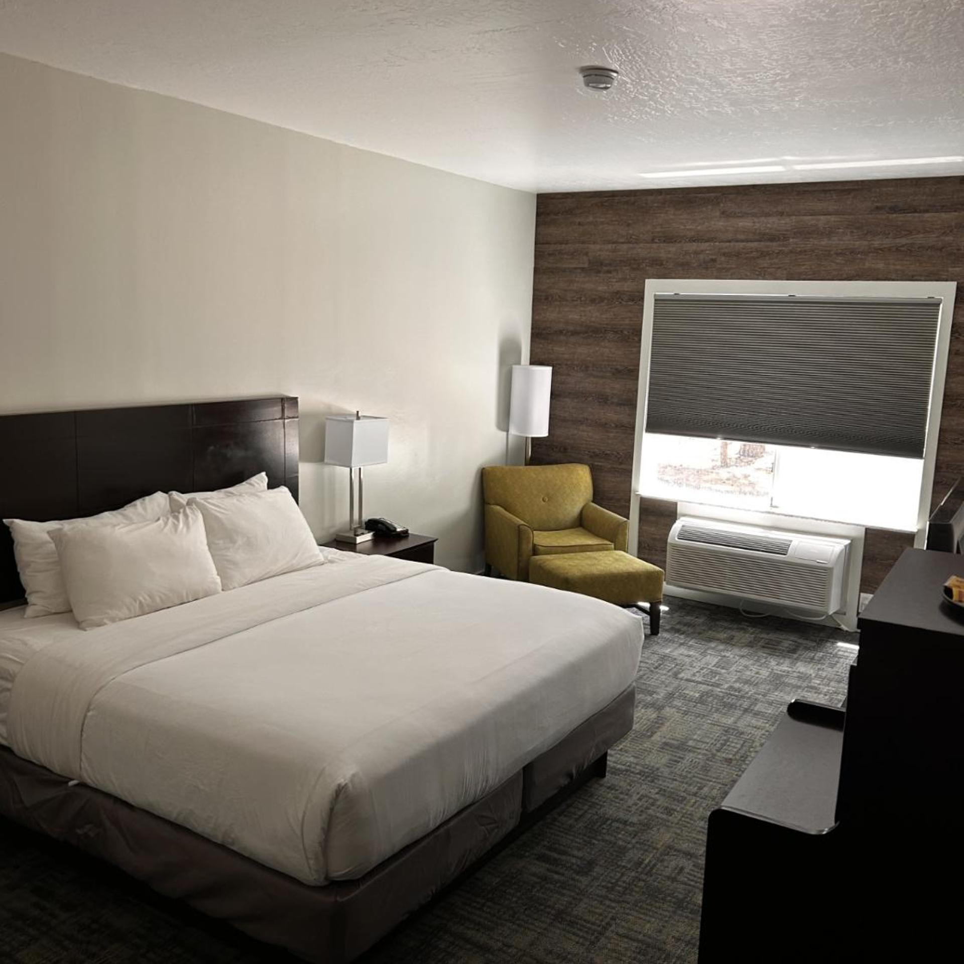 Room, King Bed