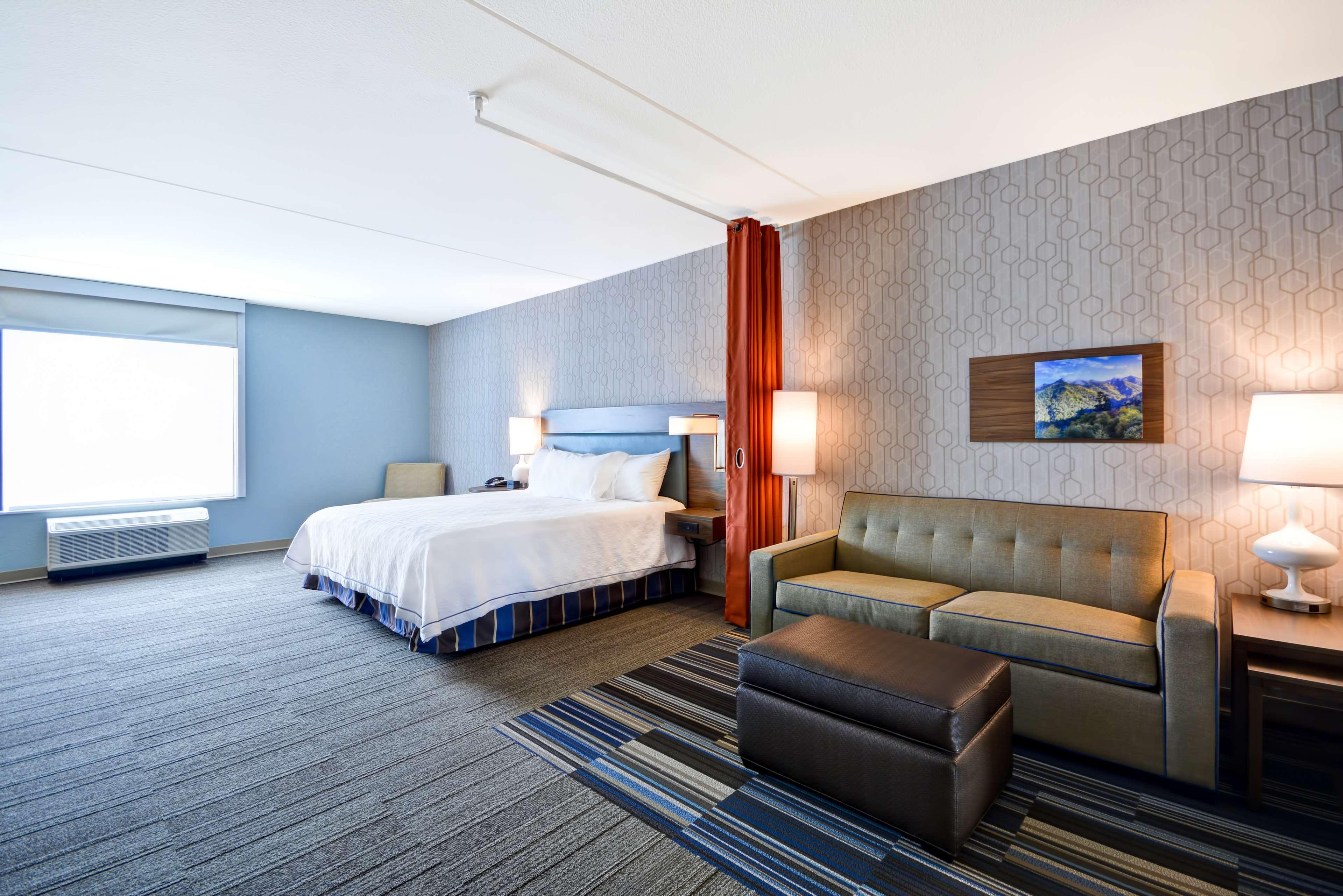Suite, King Bed