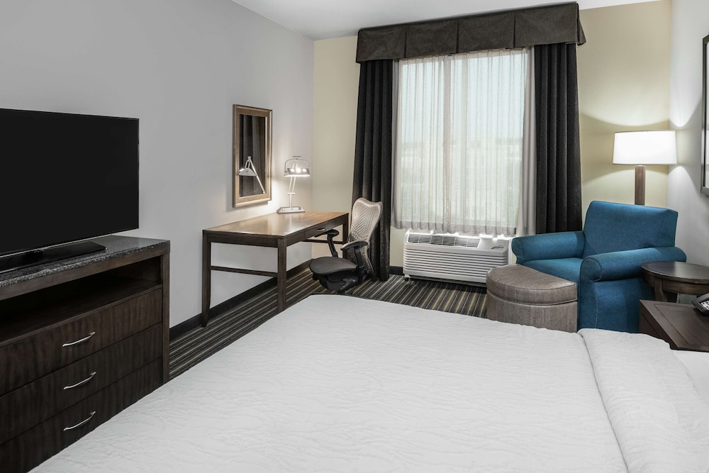 Hilton Garden Inn San Antonio At The Rim 18/55