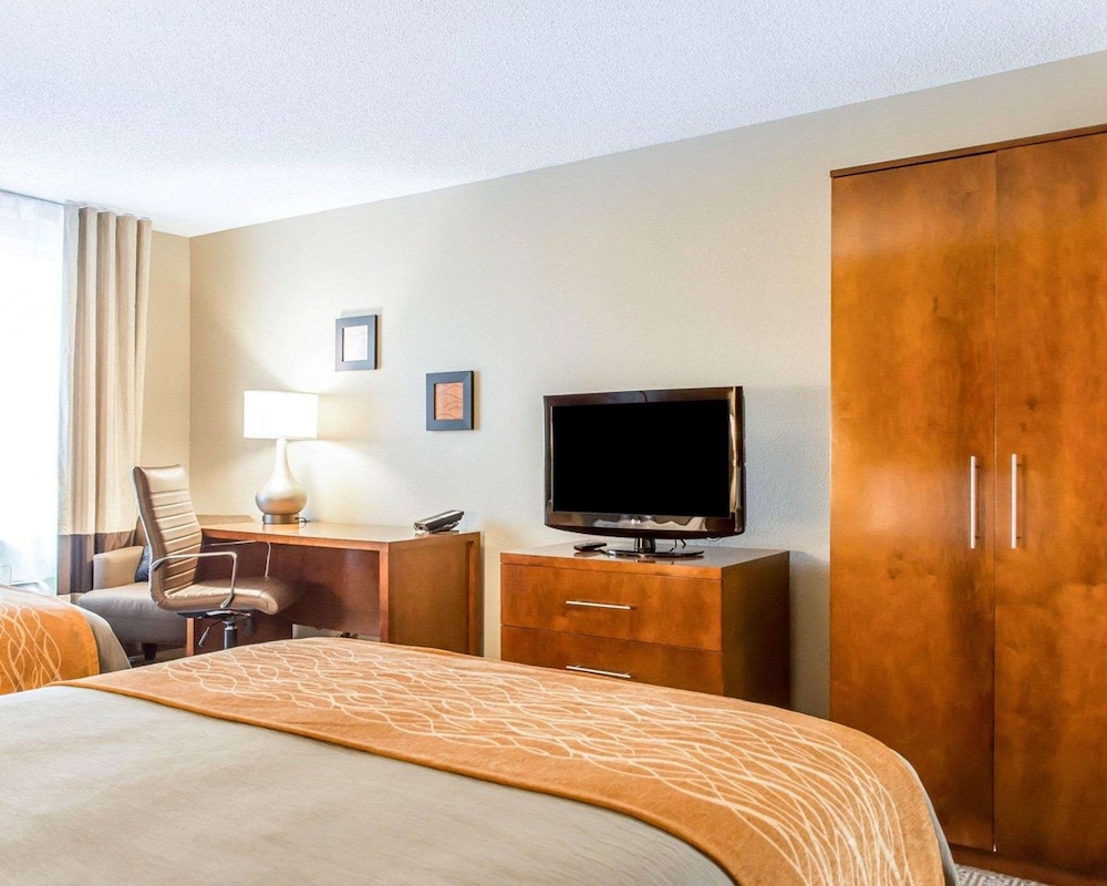 Comfort Inn North Polaris 17/38
