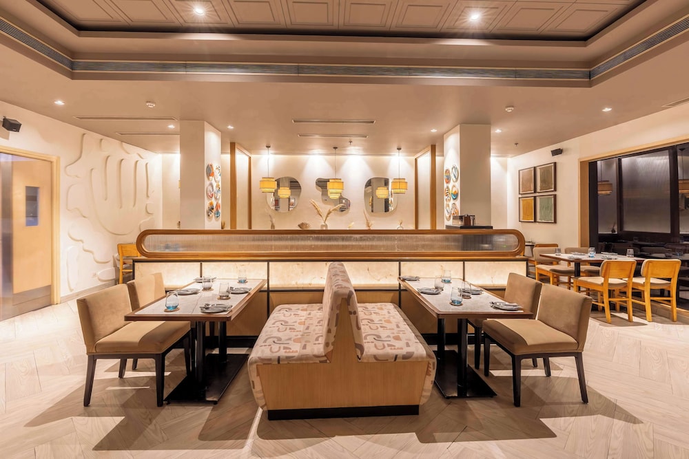 Park Inn By Radisson New Delhi Lajpat Nagar 50/67