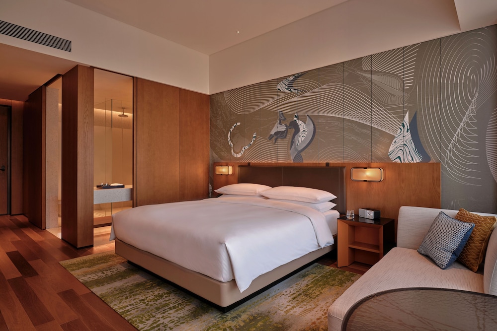 Hyatt Centric Gaoxin Xi An 15/50