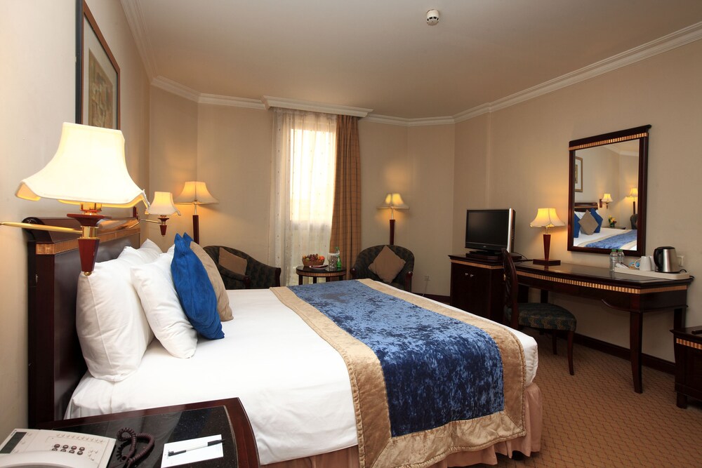 فندق مينا اندلسية(Mena Andalusia Hotel) 18/46