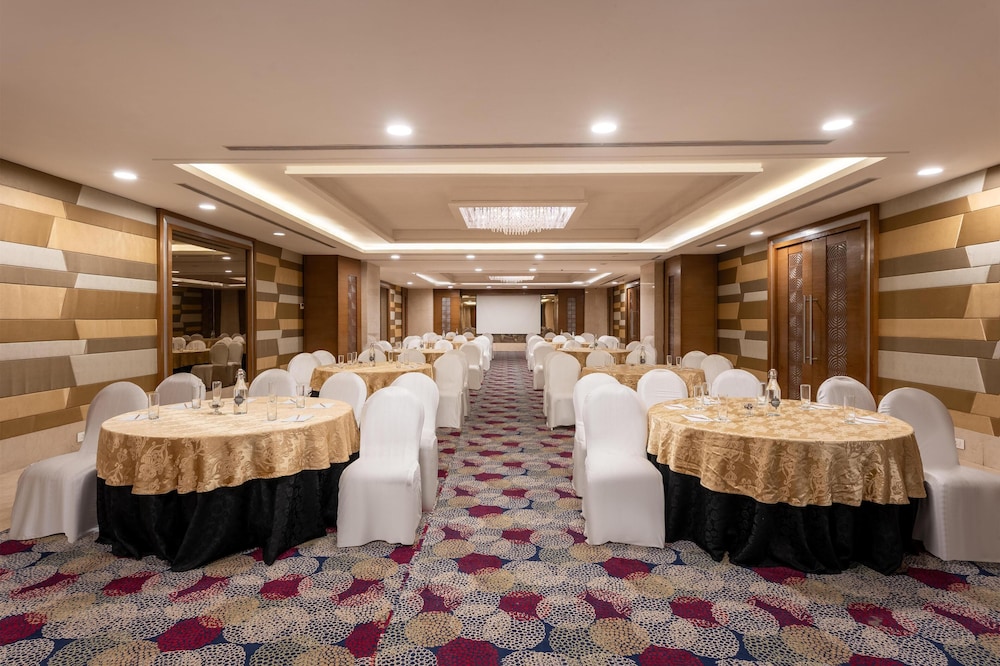 RADISSON UDAIPUR 50/69
