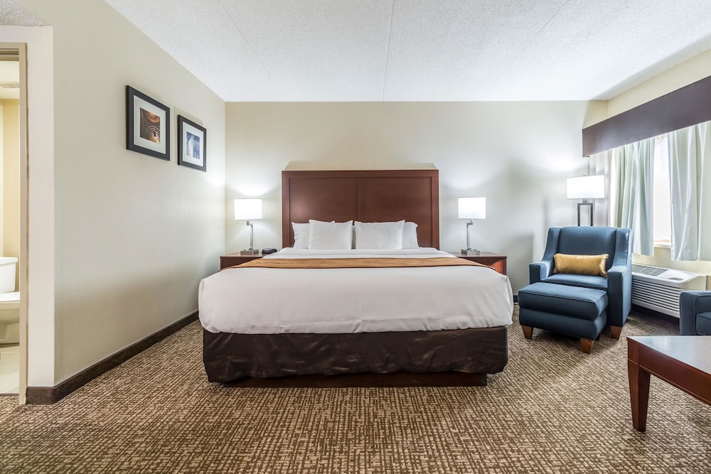 Comfort Inn Festus-St. Louis South 11/39