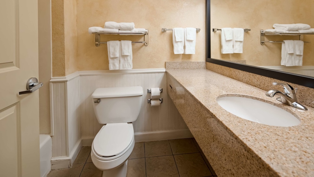 Best Western Dinosaur Valley Inn & Suites 12/37