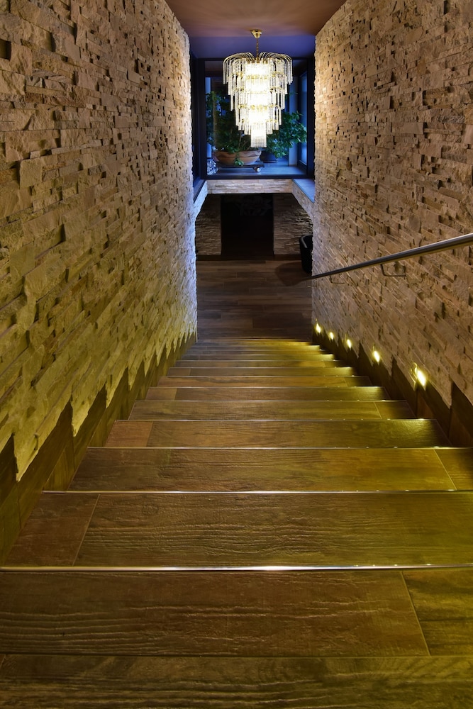 Wellness Hotel Astra 28/50