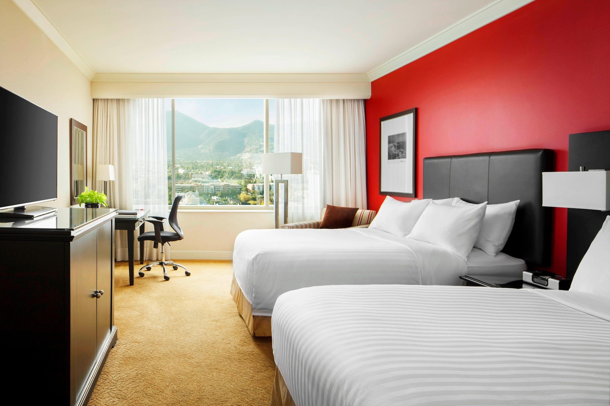 Executive, Suite, 2 Double Beds