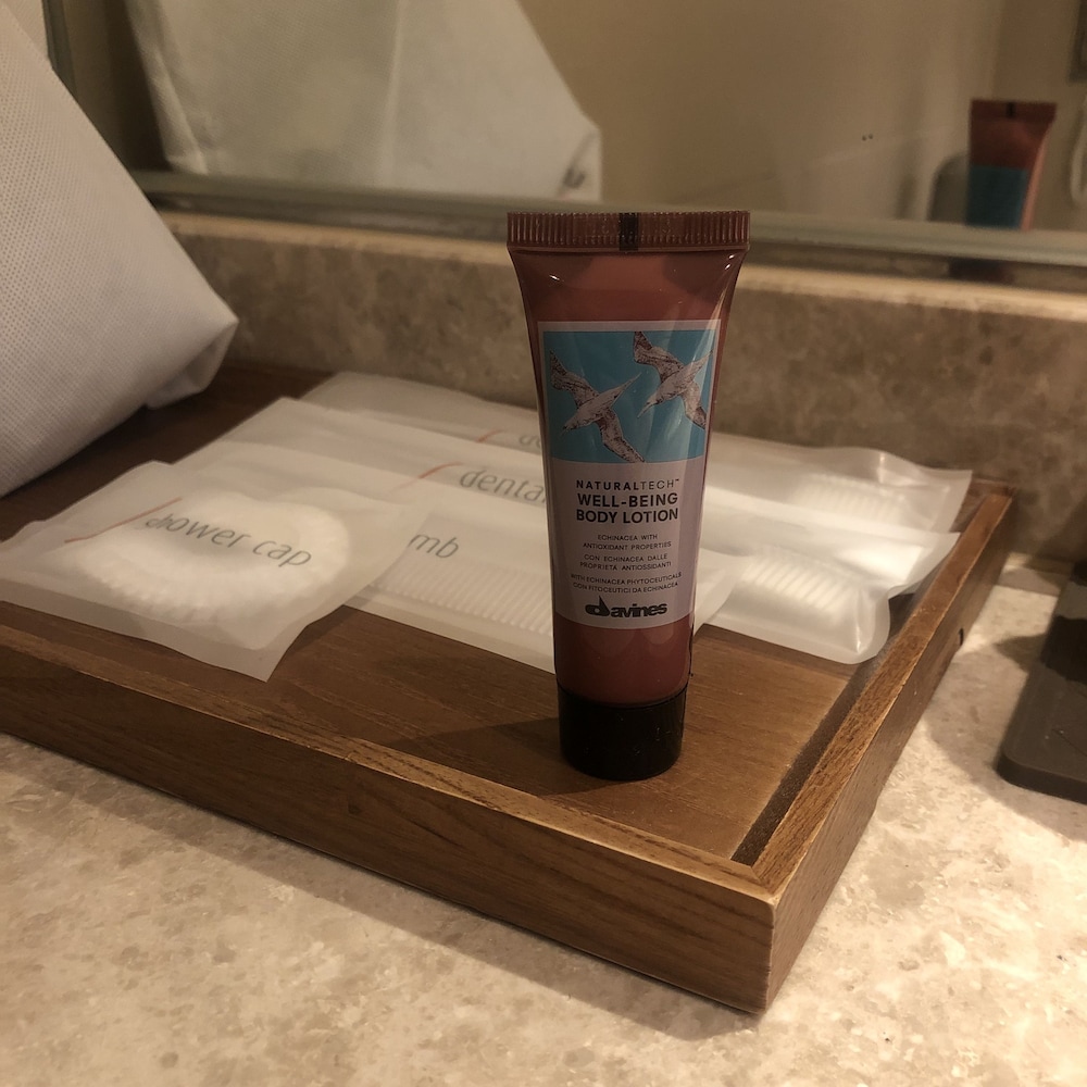 首尔明洞乐天城市酒店(LOTTE CITY HOTEL MYEONGDONG) 图片2