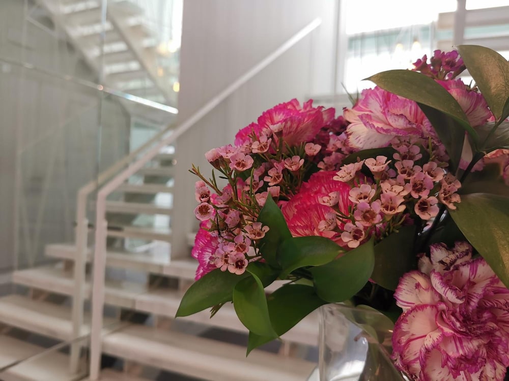 Hotel Boutique Caireles 41/64
