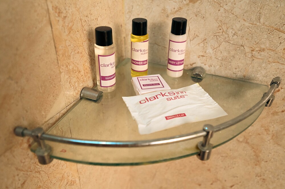 ClarksInn Suites Ranthambore 34/62