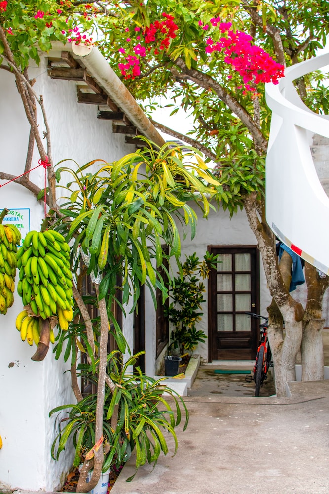 Gran Hostal Tintorera 6/34