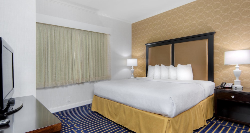 Best Western Plus Palm Court Hotel 16/42