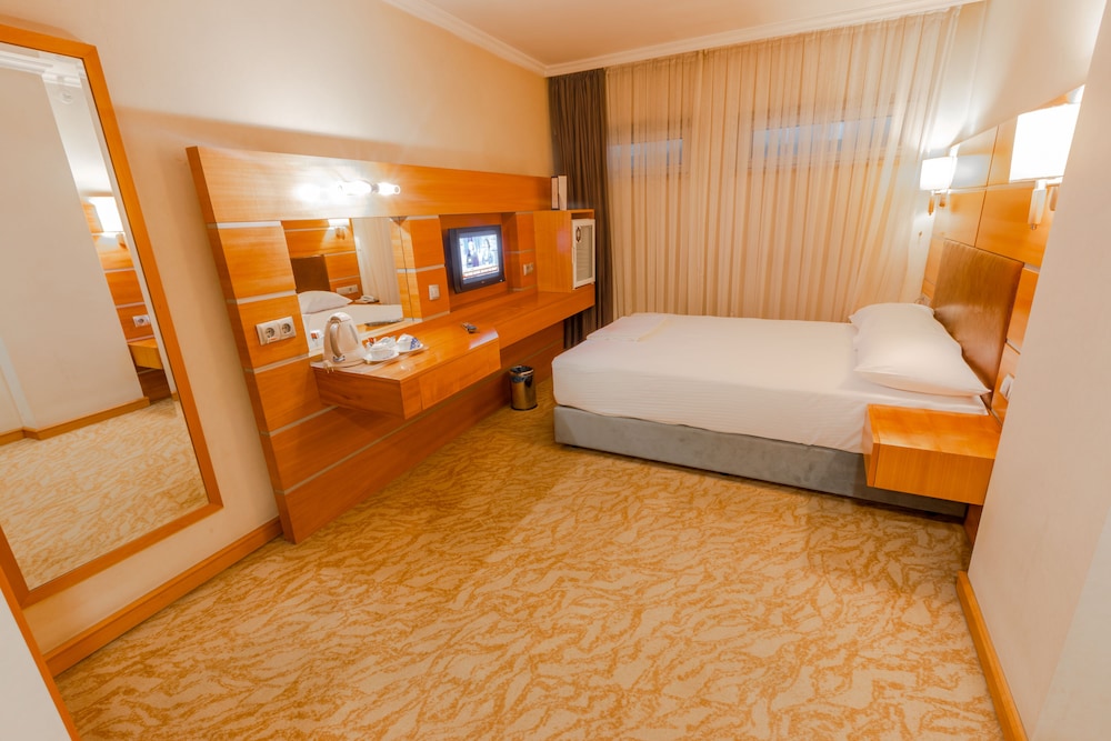 Ankara Plaza Hotel 24/66