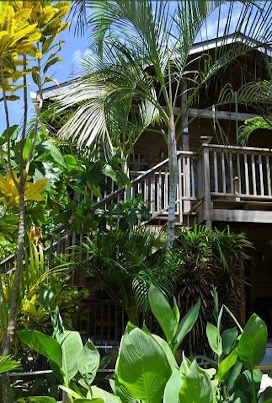 Bananarama Dive and Beach Resort 47/47