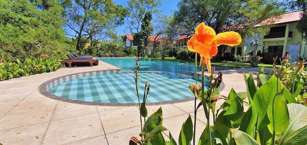 Blue Turtle Hotel 38/51