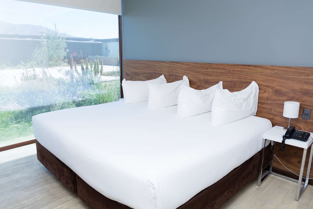 Park Inn By Radisson Los Olivos De Vallenar 10/37